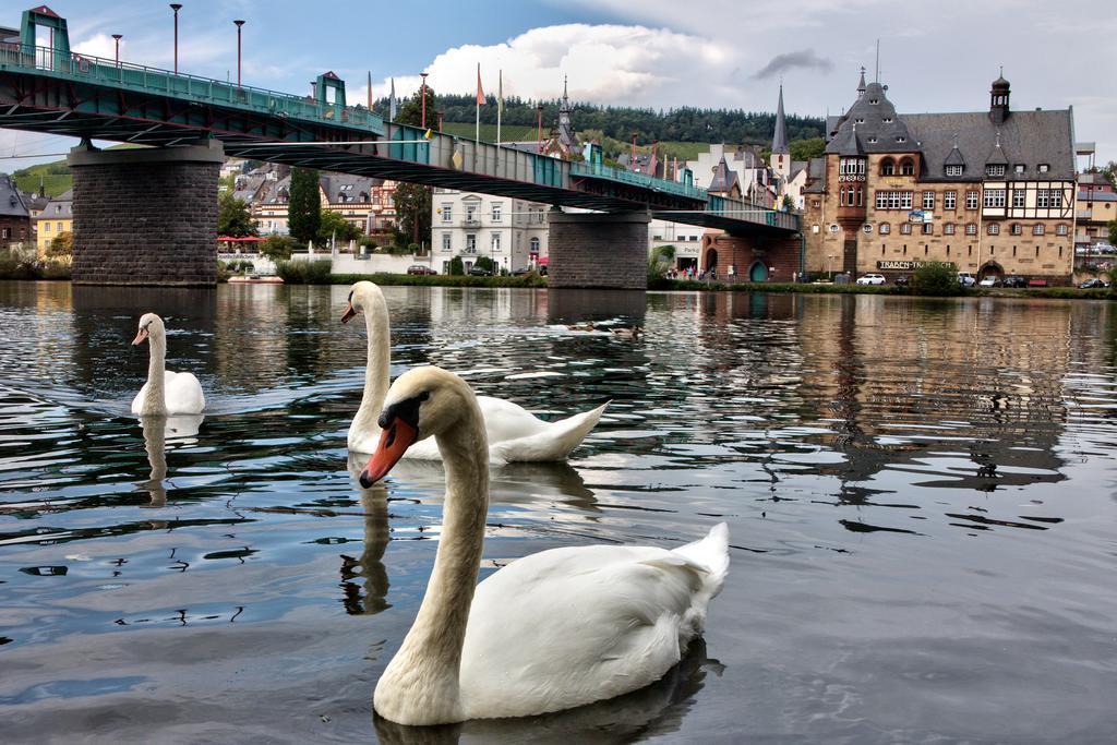 Zimmer Am Markt Traben-Trarbach Luaran gambar